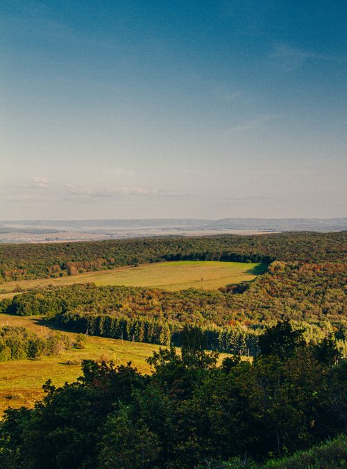 Free Beautiful view of an autumn forest and open field in Bashkortostan, showcasing vibrant fall colors. Stock Photo