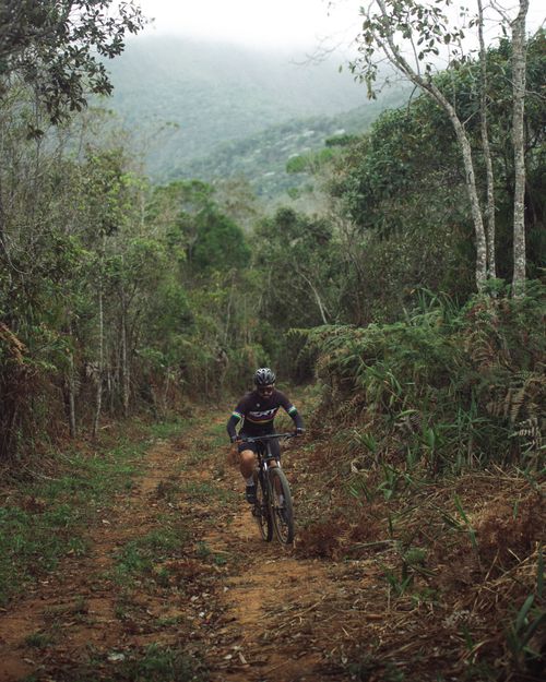 Free A cyclist rides through a lush forest trail, surrounded by nature. Stock Photo