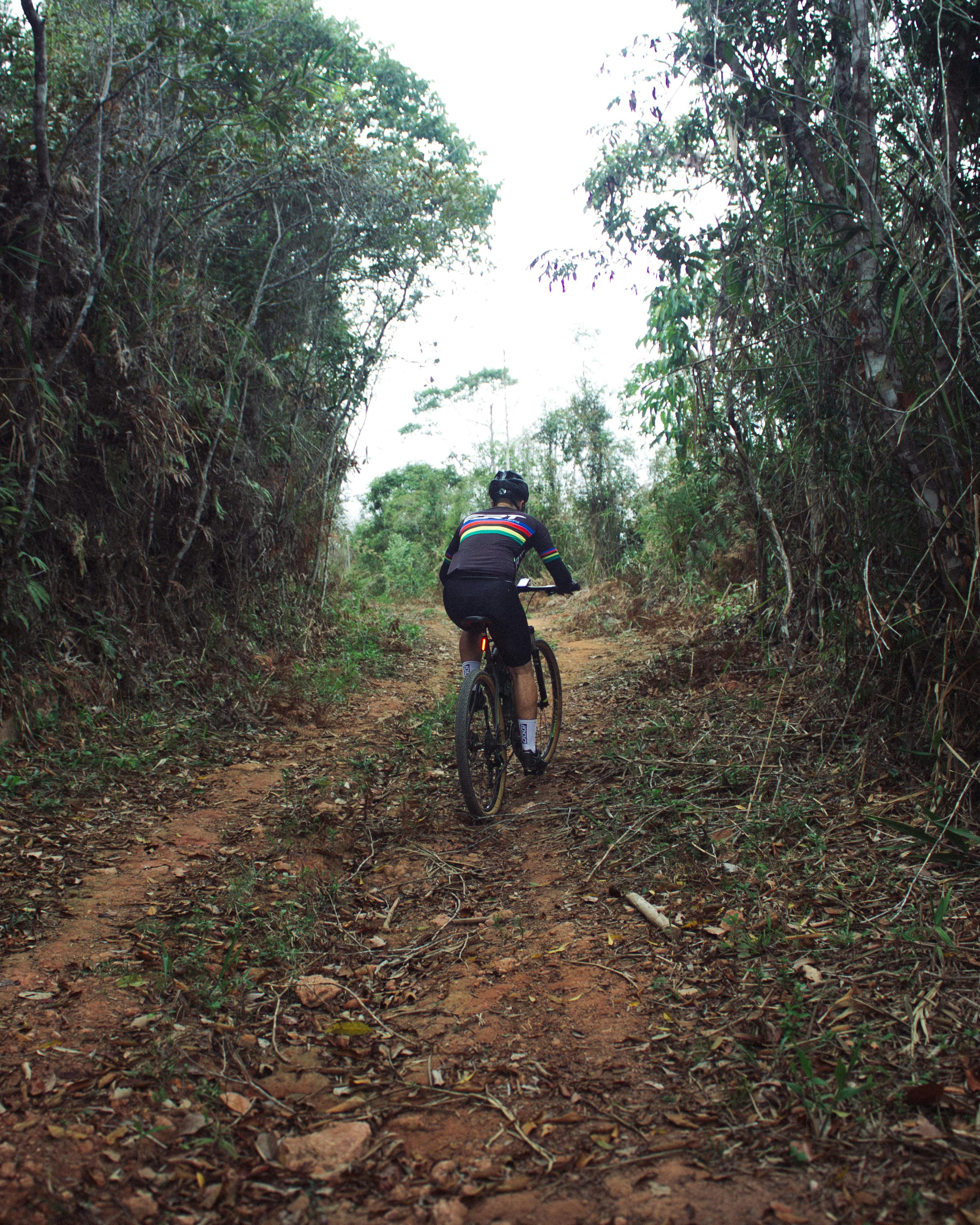 Mountain bike trail winding through dense rainforest at Bukit Timah Nature Reserve in Singapore