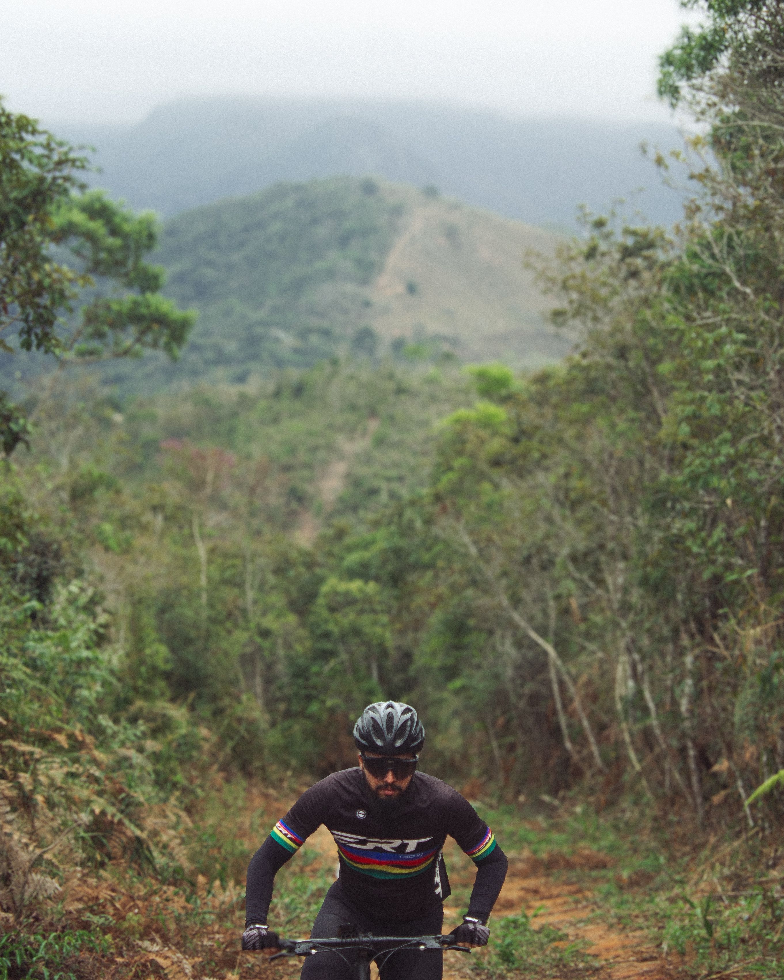 Cyclist enjoying mountain biking hidden among lush green forest trails.
