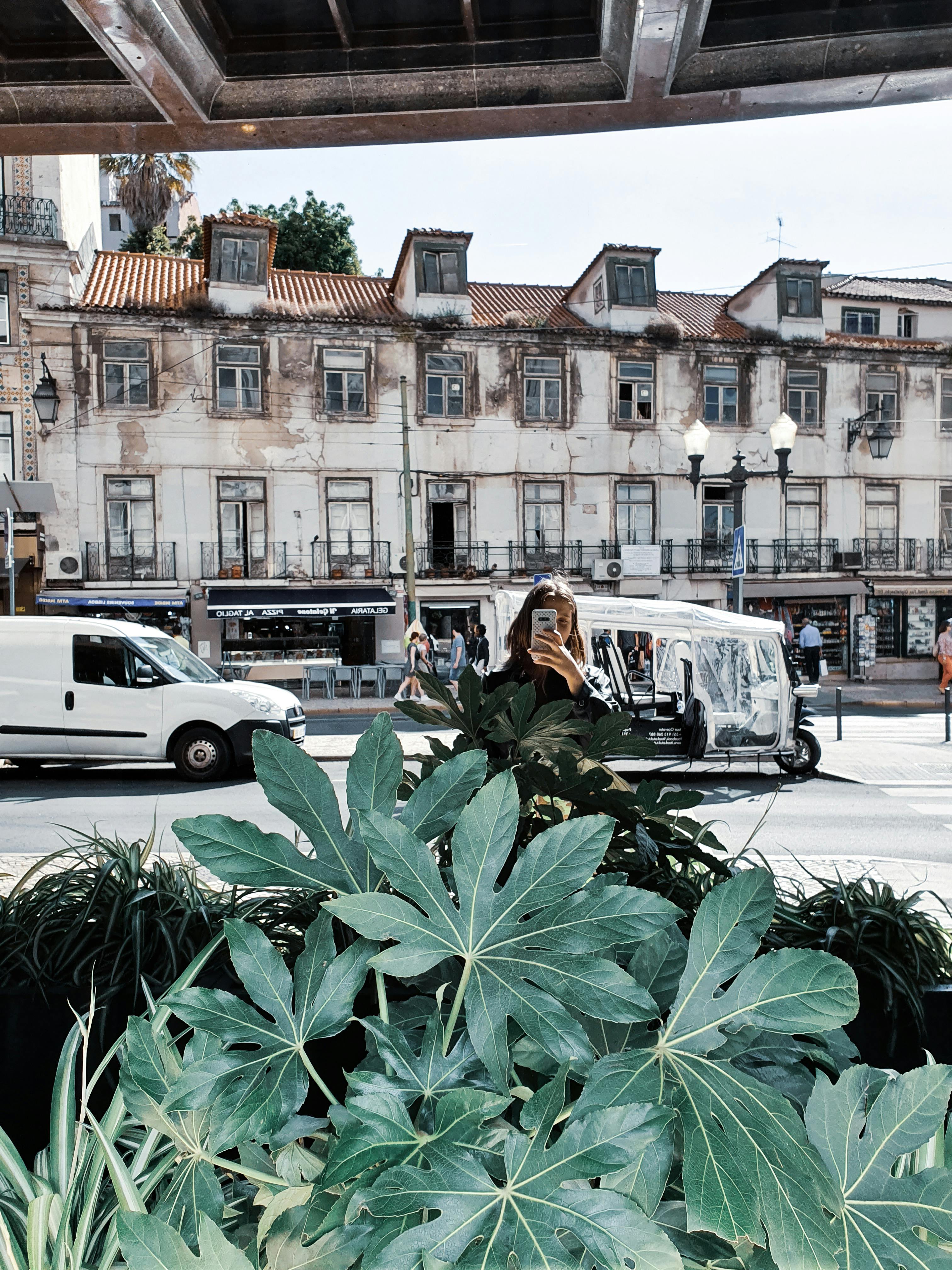 阳光明媚的日子里，充满活力的街景以历史建筑、绿化和城市车辆为特色