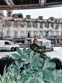 阳光明媚的日子里，充满活力的街景以历史建筑、绿化和城市车辆为特色
