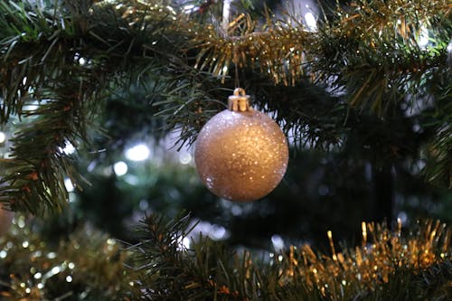 免费 挂在绿色圣诞树上的棕色摆设 素材图片
