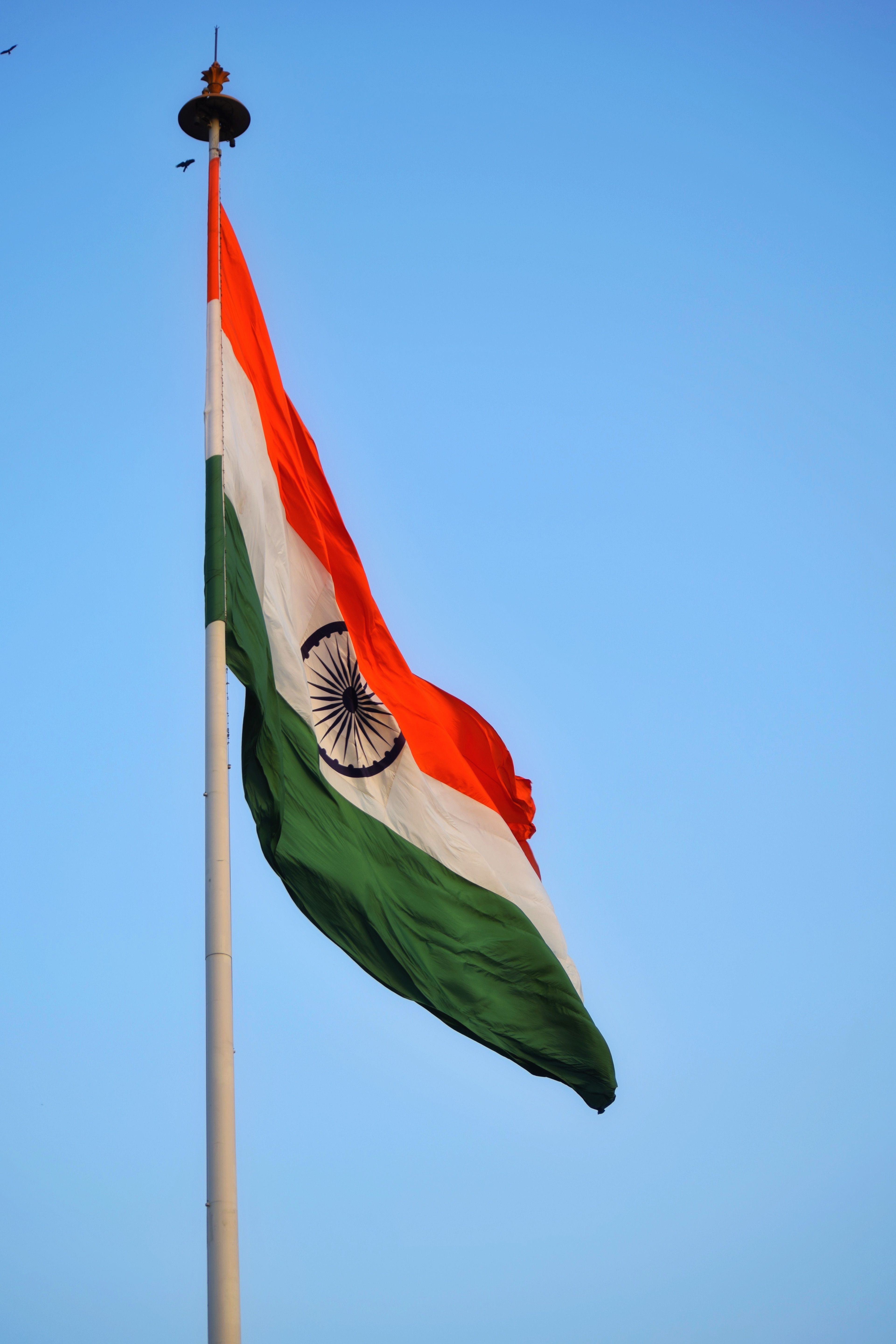 Bharat Forge's ₹450 Cr Write-Down vs. Defence Boom: What Indian Investors Need to Watch This Week