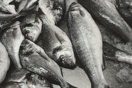 Close-up of gilt-head bream and other fish on ice at a seafood market.