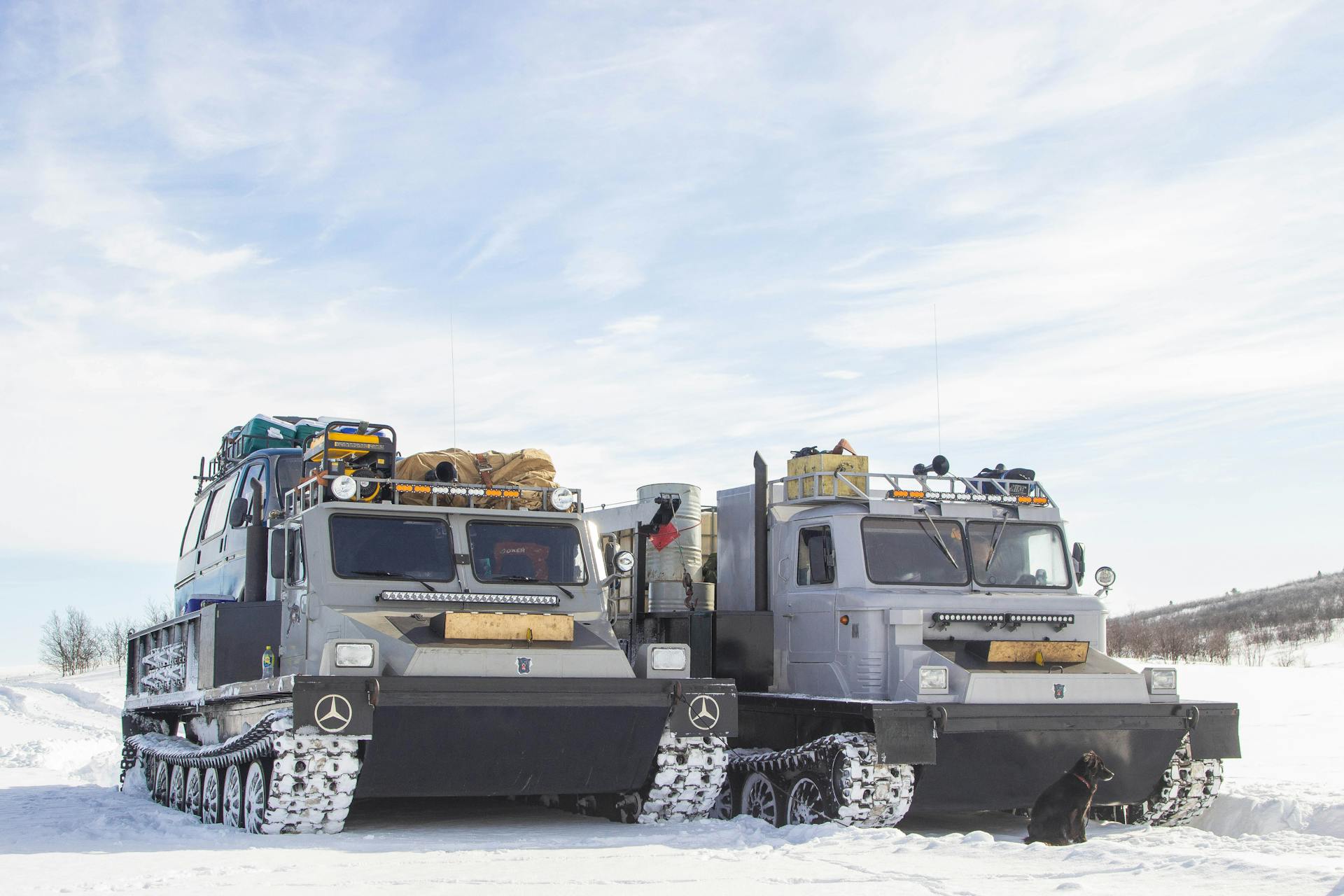 Snow Vehicles in Winter Landscape with Dog