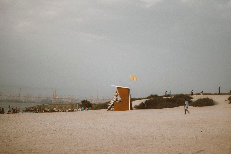 Jebel Ali Free Zone (JAFZA)
