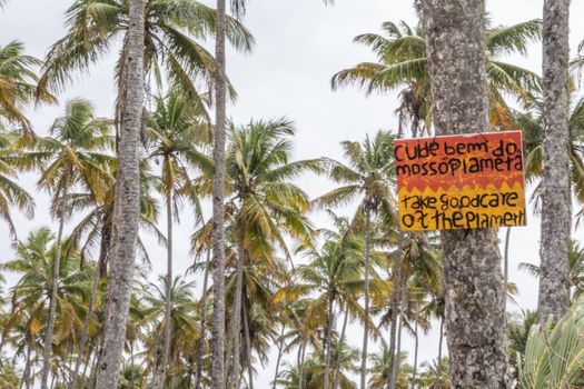Scenic view of palm trees with a sign promoting environmental care.