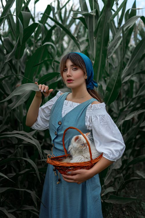 Free A woman in traditional dress stands in a cornfield in Qazvin, Iran, holding a cat in a basket. Stock Photo