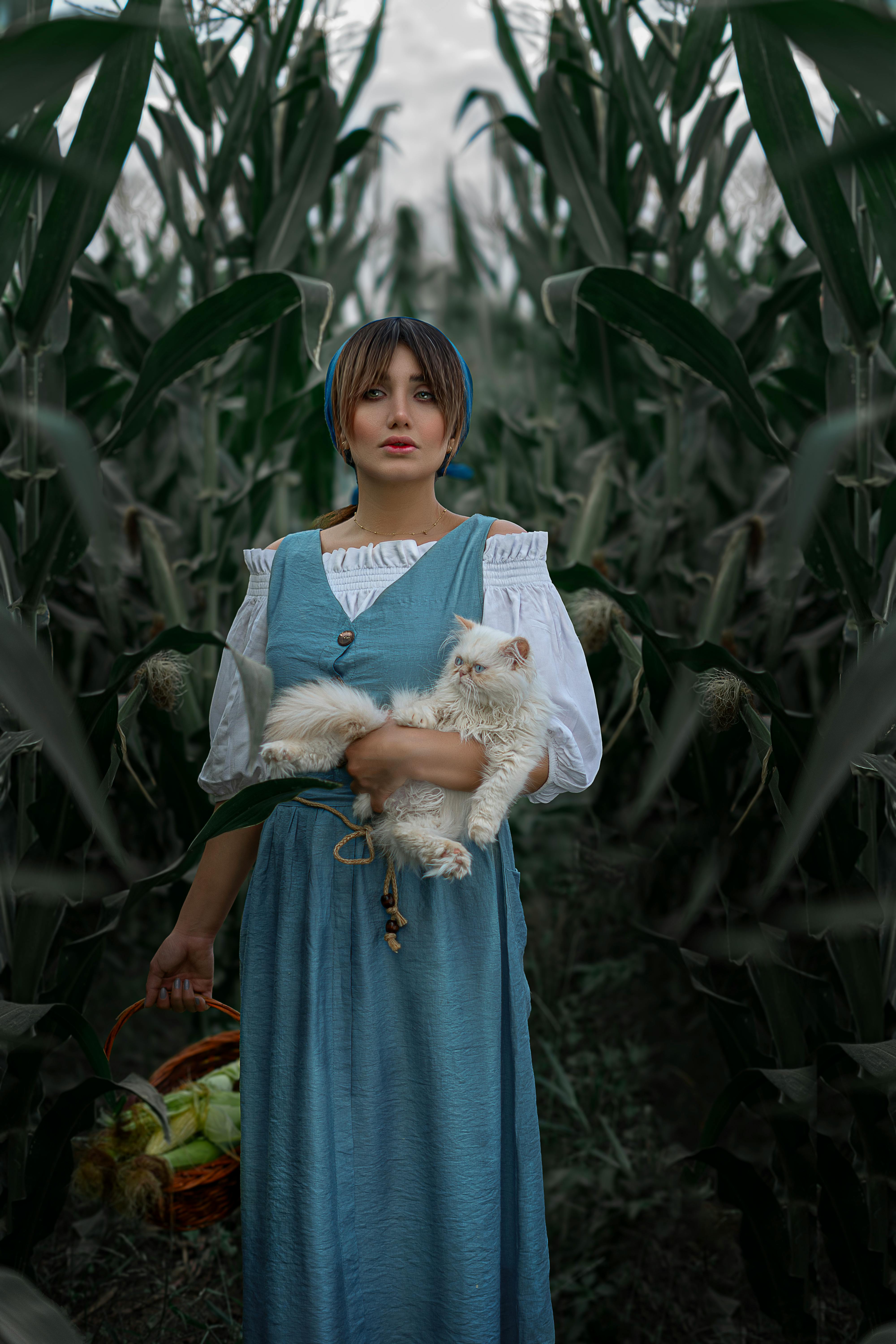 輕小說改編 H5 遊戲 異世界悠閒農家 夢想生活 開放事前預約