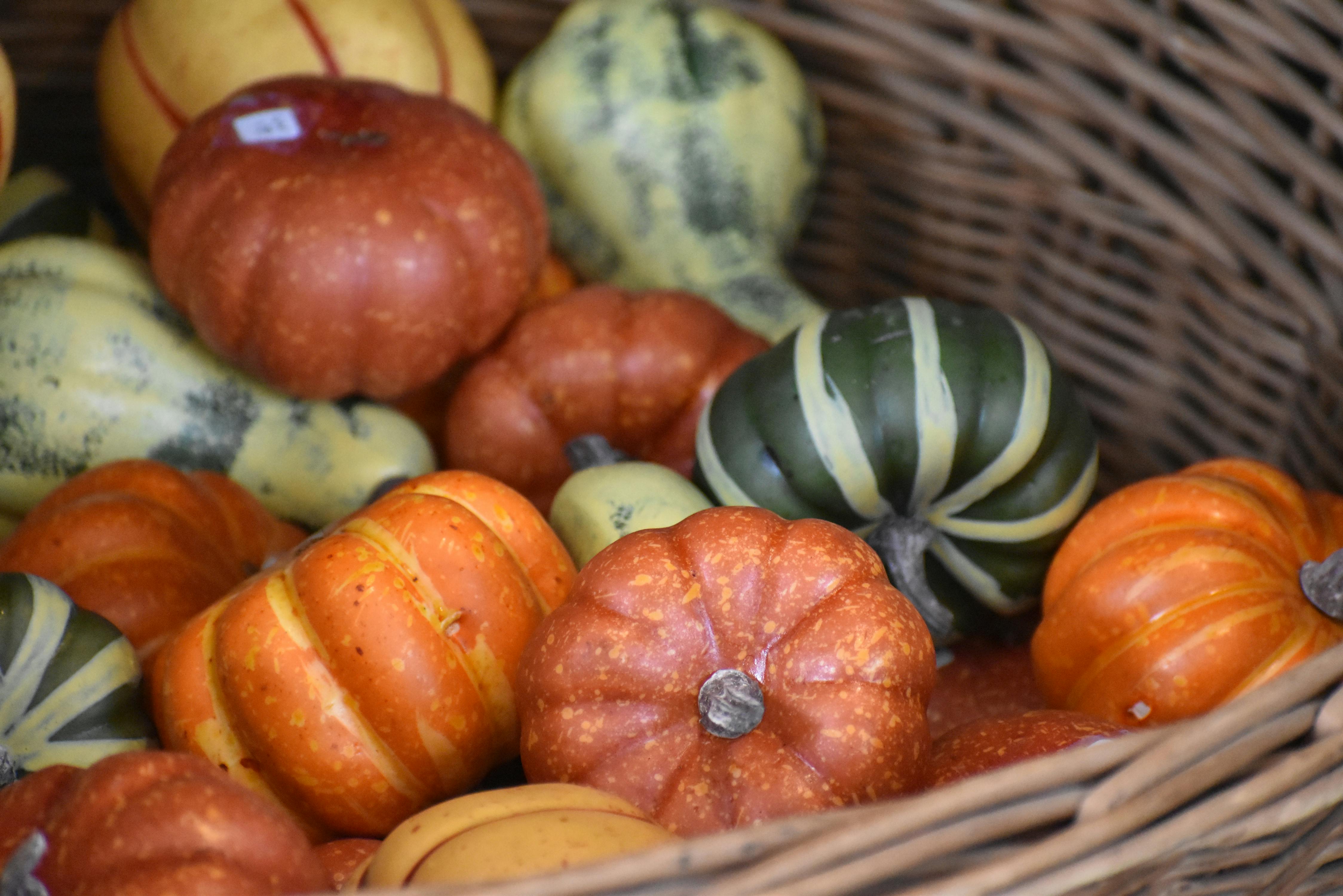 7 Best Hobby Lobby Fall Craft Finds Flying Off Shelves Right Now — Photo by wr heustis on Pexels