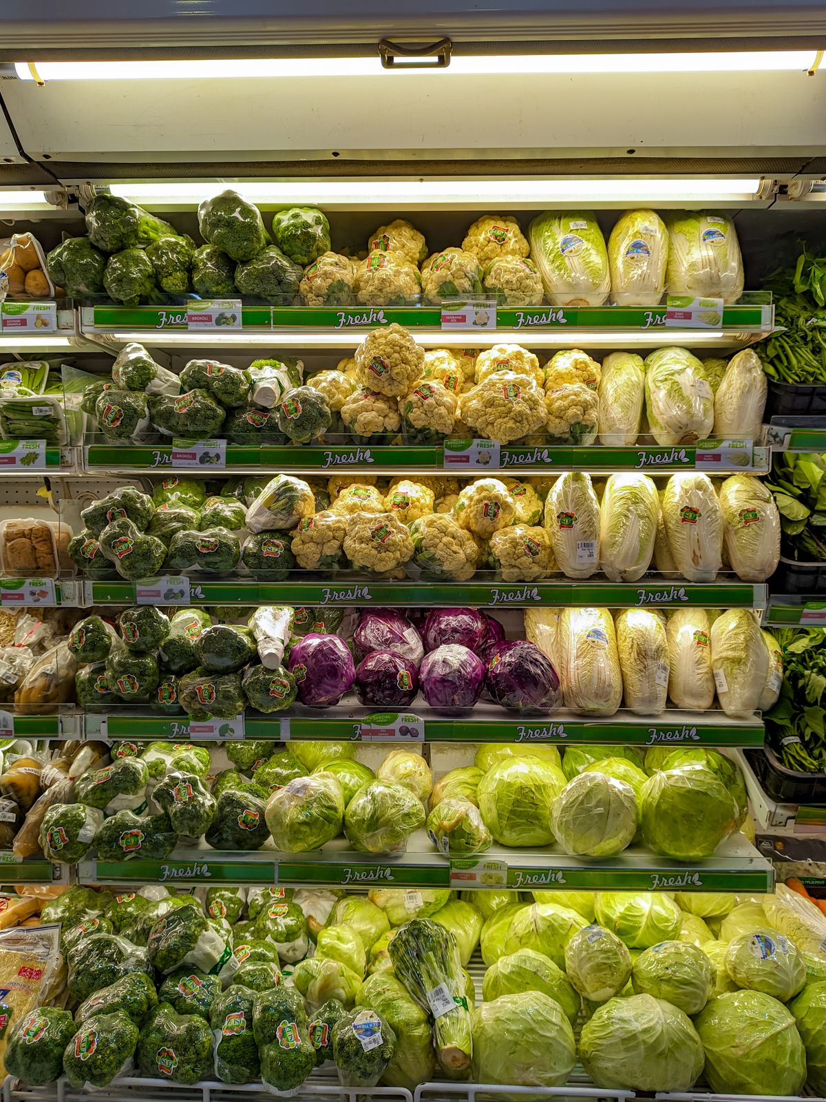 日本のスーパーの青果の売場。野菜がきれいに並んだ棚