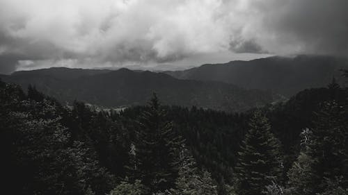 Photo of Mountains and Green Trees Under a Cloudy Sky