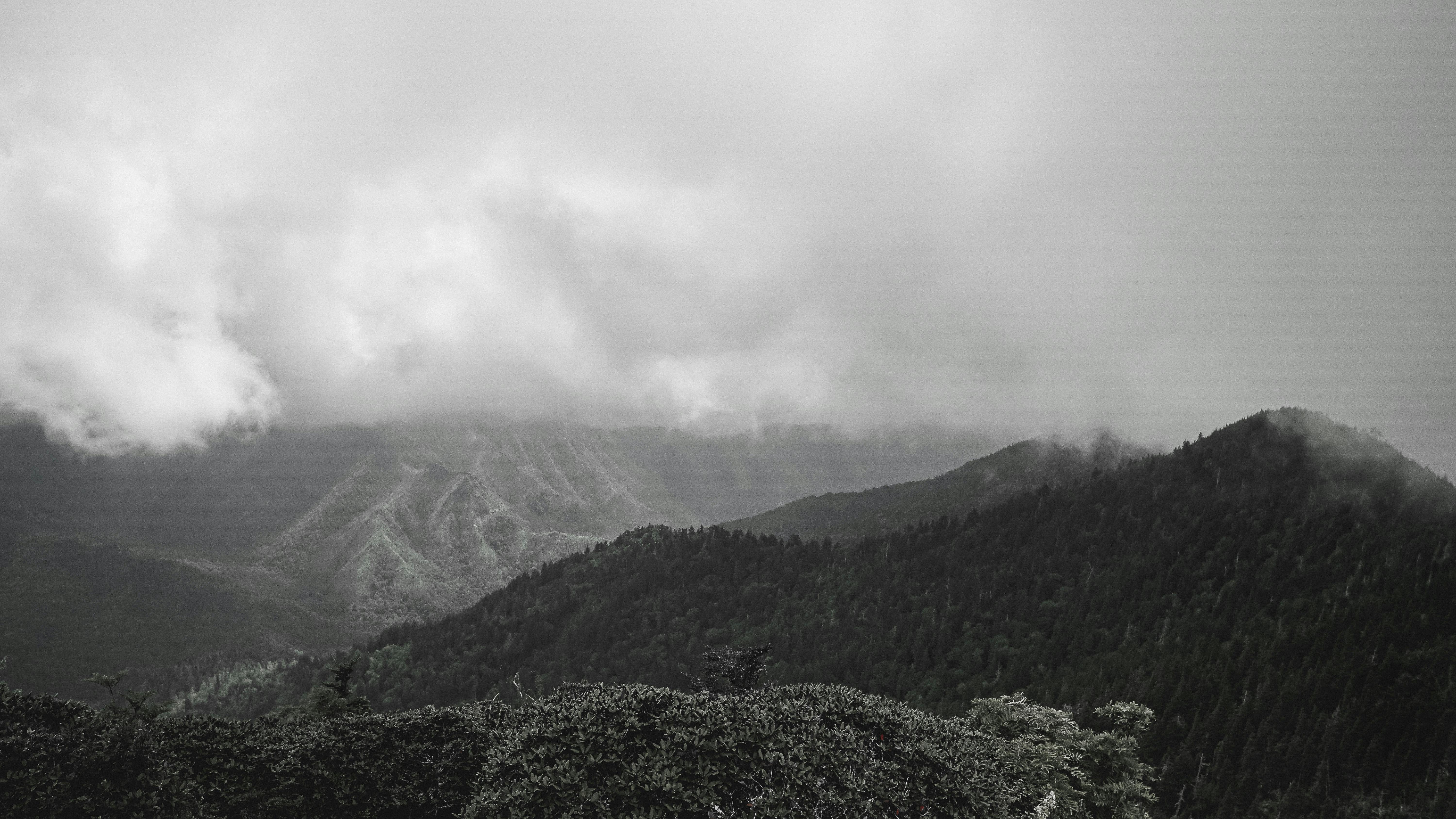 Black and White Photo of Mountain with Fog · Free Stock Photo