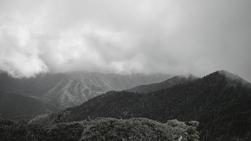 山與霧的黑白照片