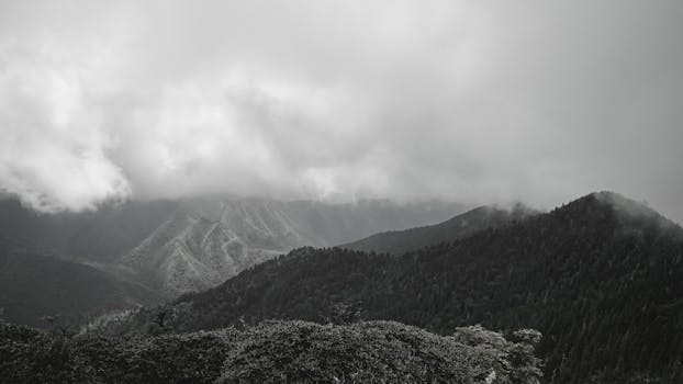 Foggy mountain view in Tennessee capturing the serene natural landscape and misty atmosphere.