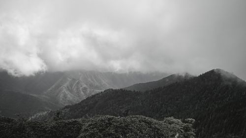 Free Foggy mountain view in Tennessee capturing the serene natural landscape and misty atmosphere. Stock Photo
