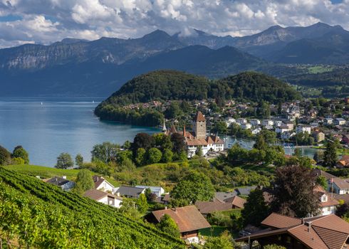 A picturesque landscape of Thun Castle by Lake Thun with the Bernese Alps in the background.
