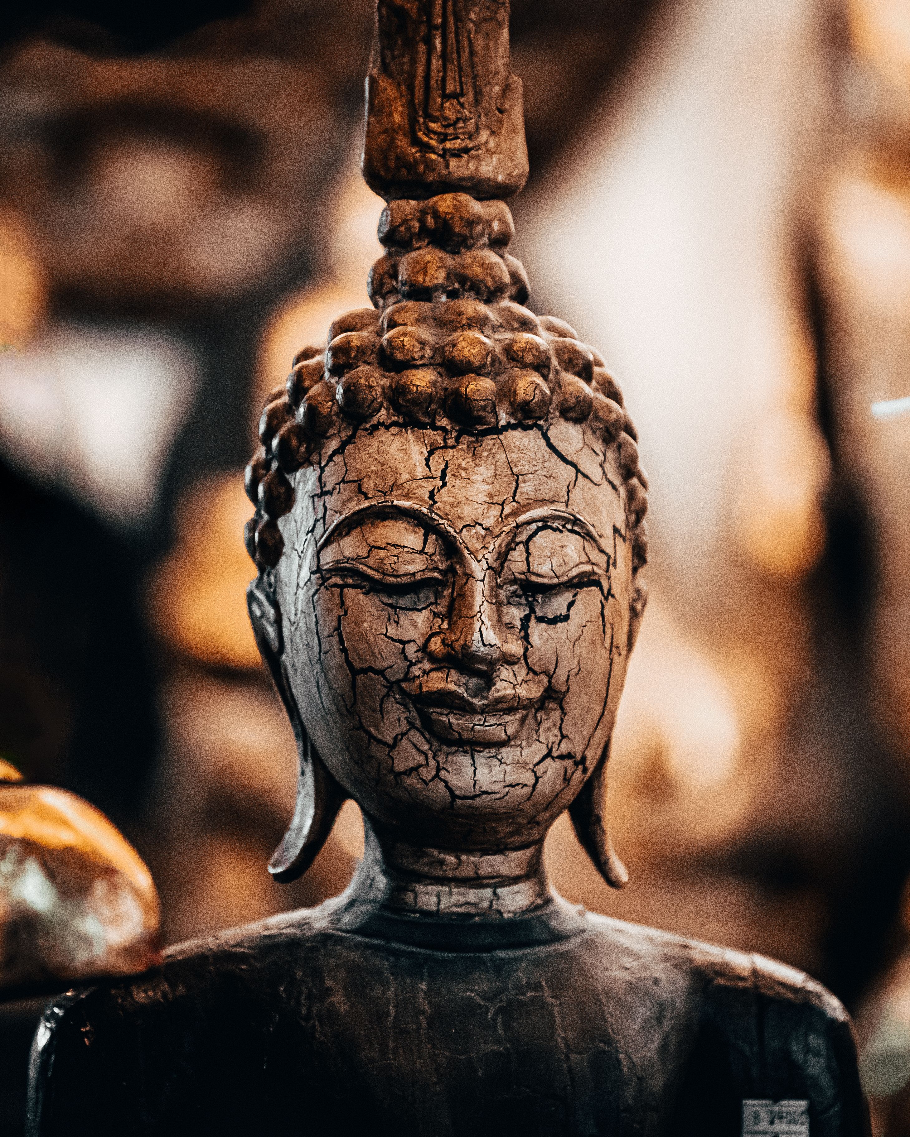 Buddha S Tales For Young And Old Prince Goodspeaker Vol 1