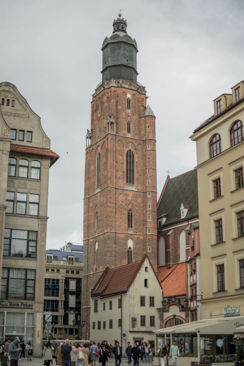Free Historic tower of St. Elizabeth's Church amidst charming city buildings in Wrocław, Poland. Stock Photo