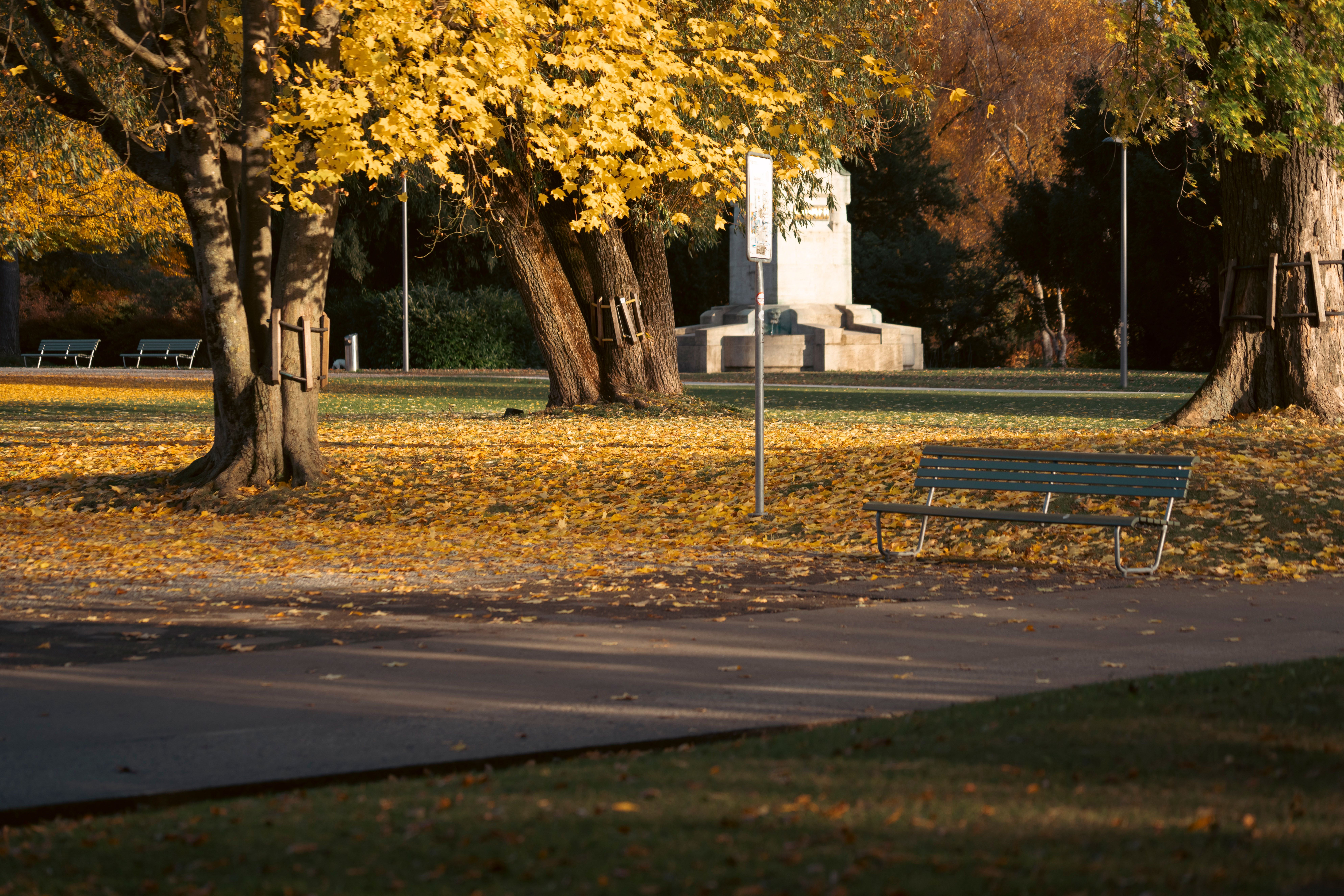 The ultimate outdoor workout: all you need is a park bench — Photo by Sergio Zhukov on Pexels