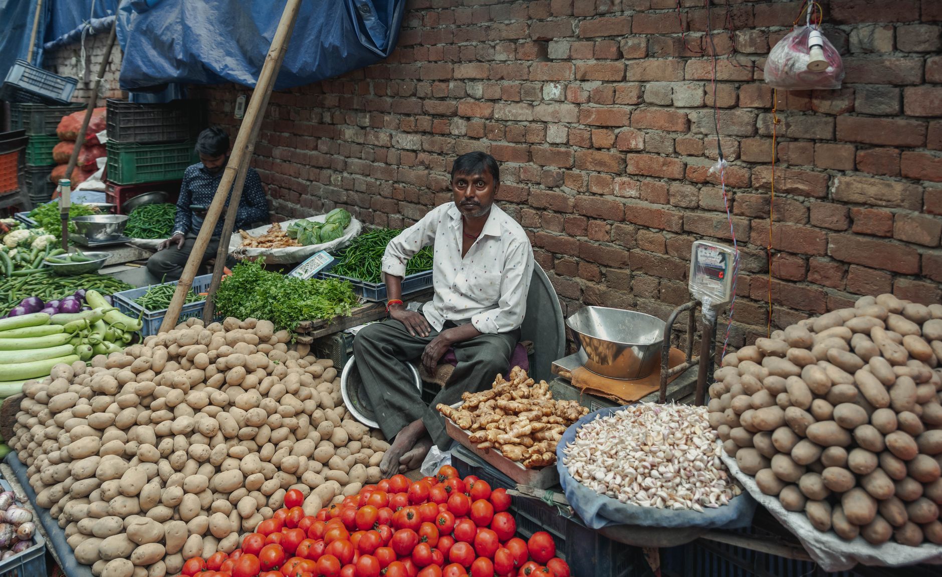 Featured image for the article: Delhi destroys nearly 3,000kg of dairy products in festive-season food checks