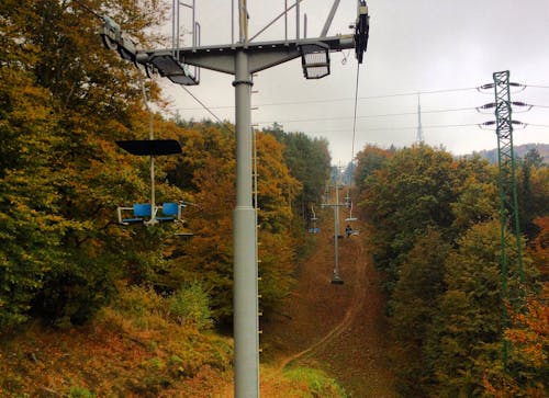 10월, slovensko, 갈색의 무료 스톡 사진
