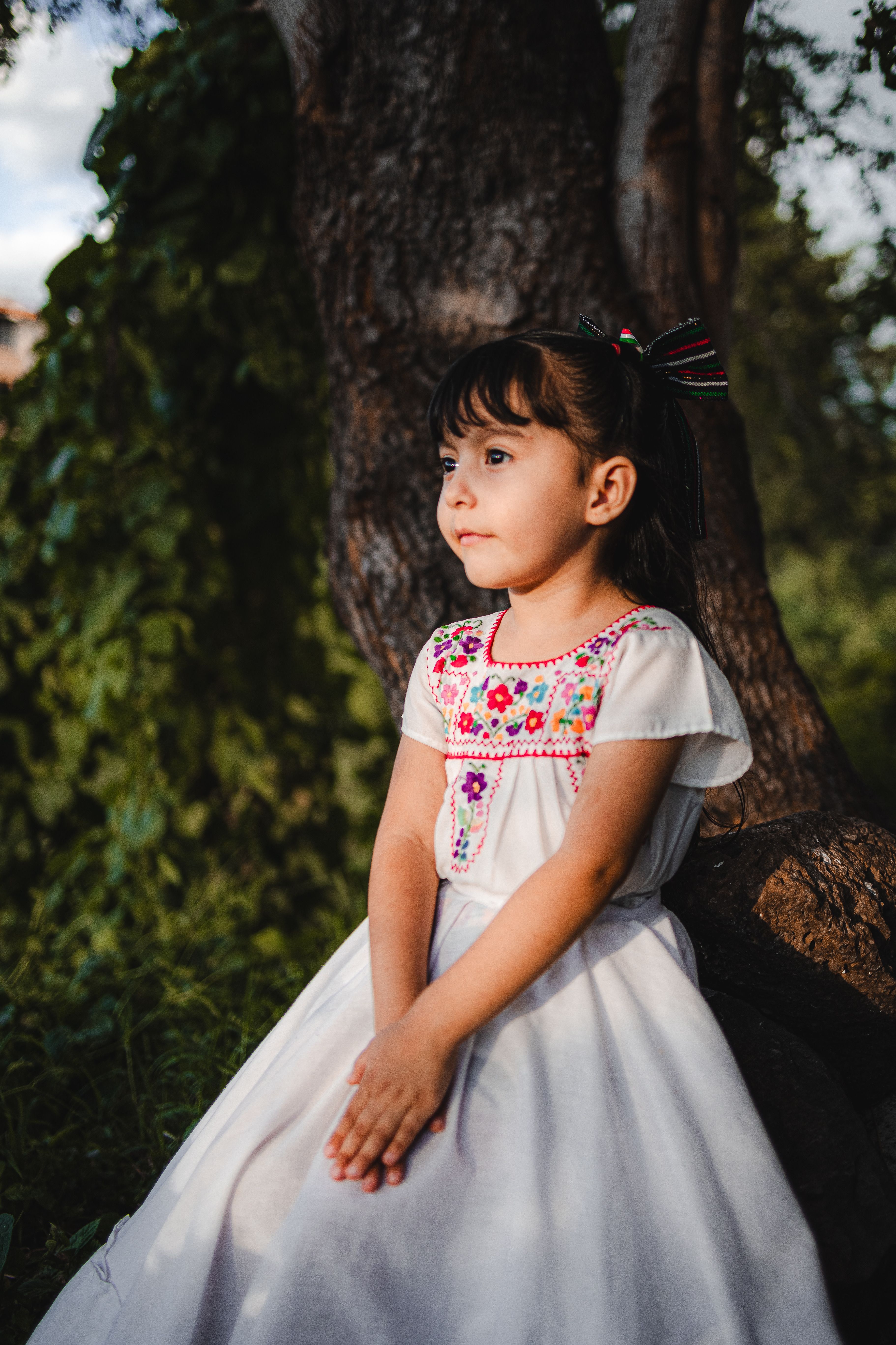 Portrait of a Young Girl in Traditional Dress · Free Stock Photo
