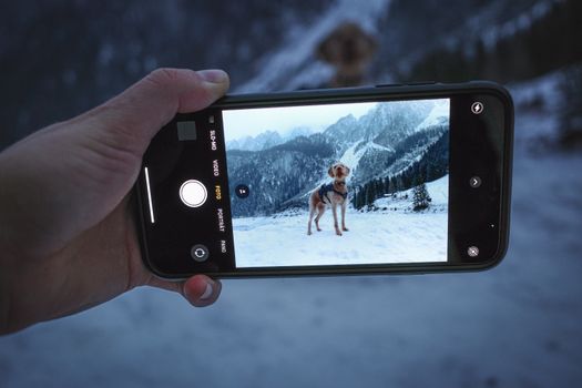 Smartphone captures a dog amidst snowy mountains, showcasing winter scenery.