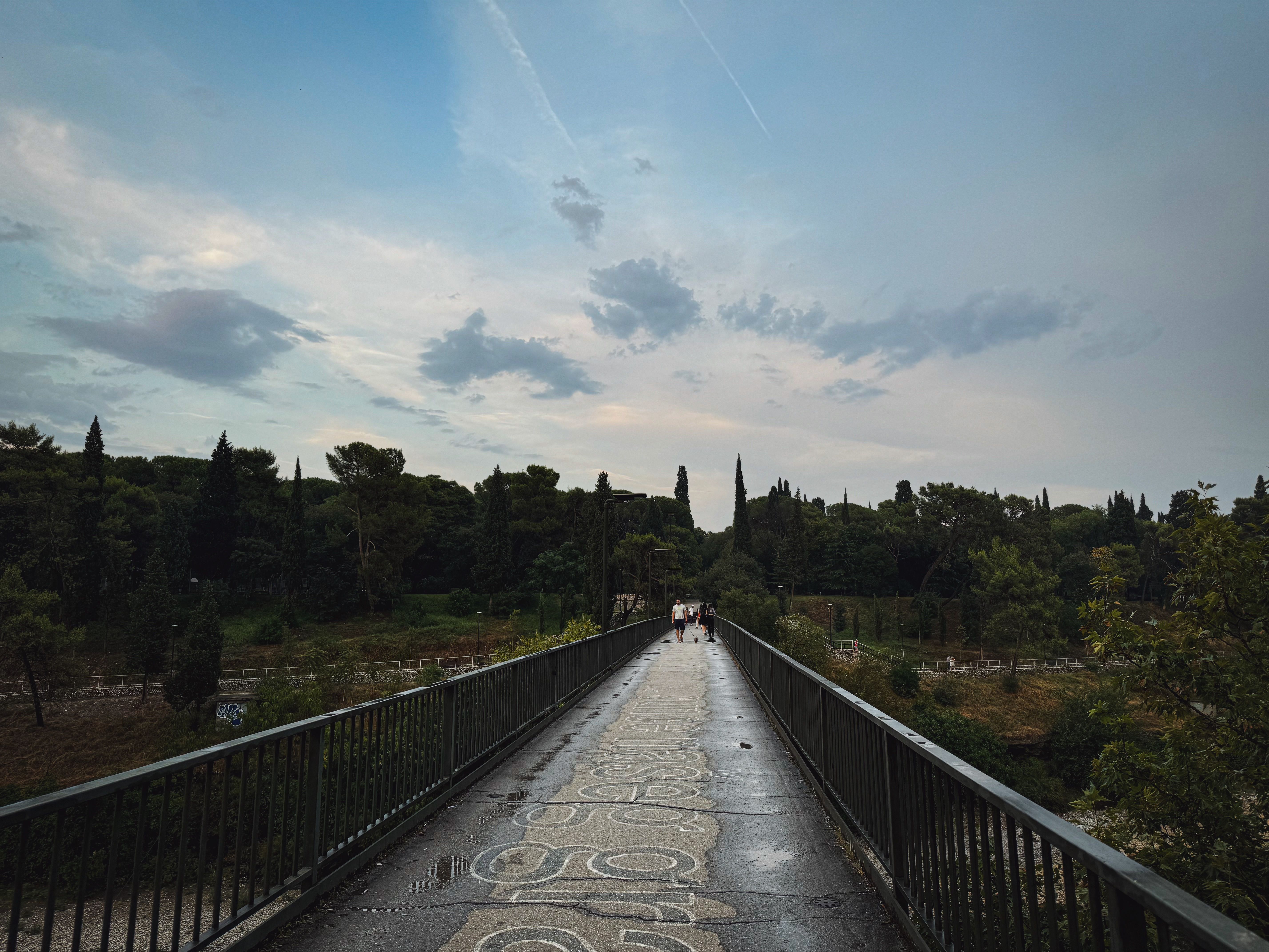 Scenic Pedestrian Bridge in Lush Green Landscape · Free Stock Photo
