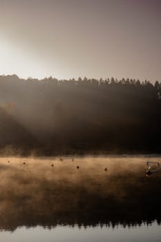 Misty lake at sunrise with buoys and silhouette of trees.