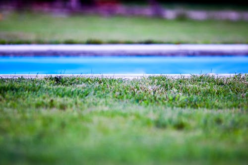 Fotografía De Enfoque Superficial De Piscina