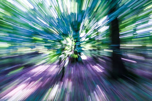 Free stock photo of forest, high speed, speed