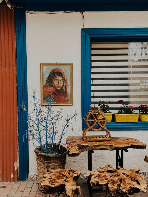 Free A charming rustic setup featuring a portrait, wooden furniture, and vibrant plants. Stock Photo