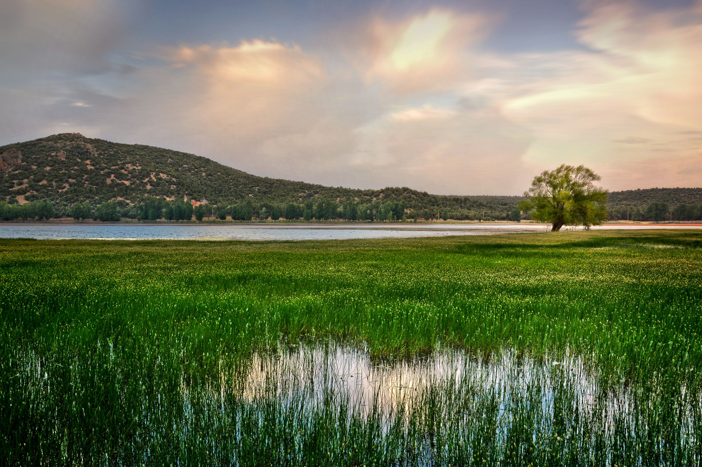 Dayet Scenic View of Dayet Aoua Lake in Ifrane, Morocco · Free Stock Photo