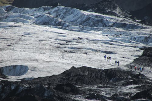 Free stock photo of glacier, hikers