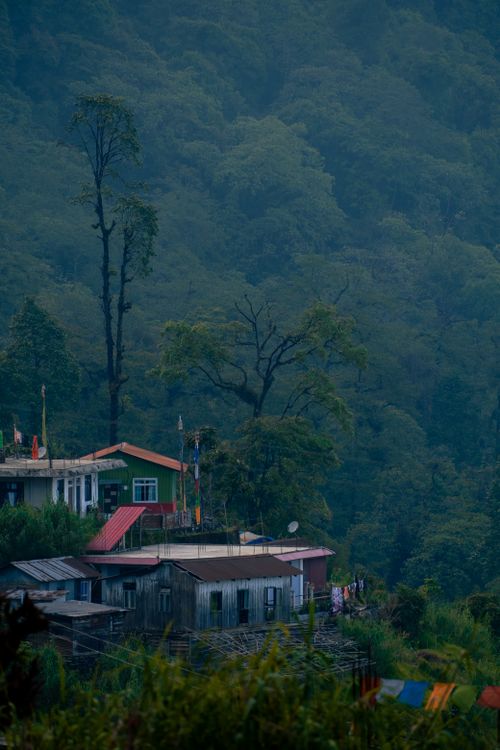 Free Charming mountain village nestled in lush green forest, showcasing peaceful rural life. Stock Photo