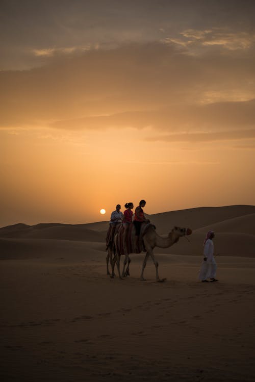 Фотография людей, едущих на верблюдах во время заката