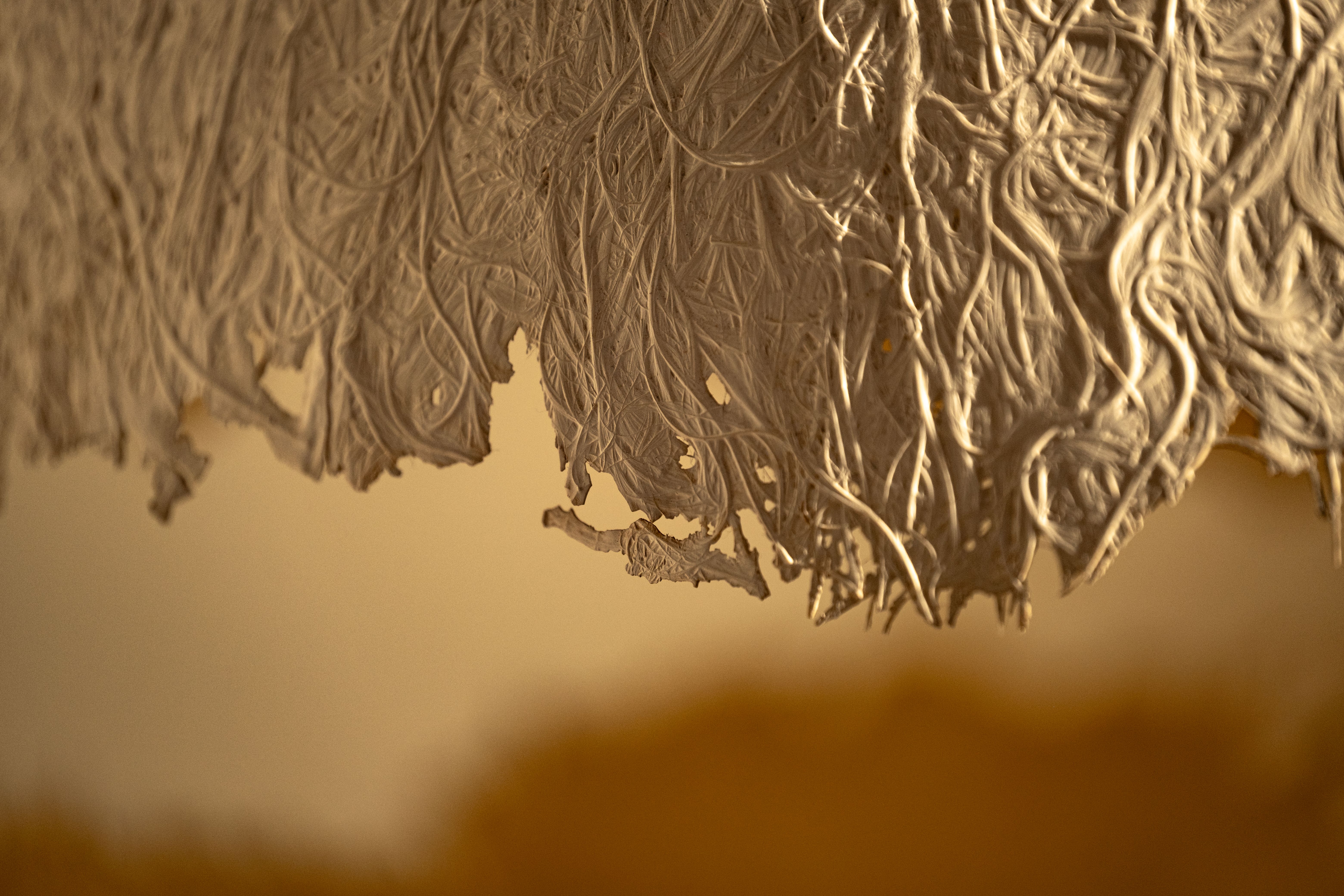 Abstract Textured Hanging Fibers in Soft Light · Free Stock Photo