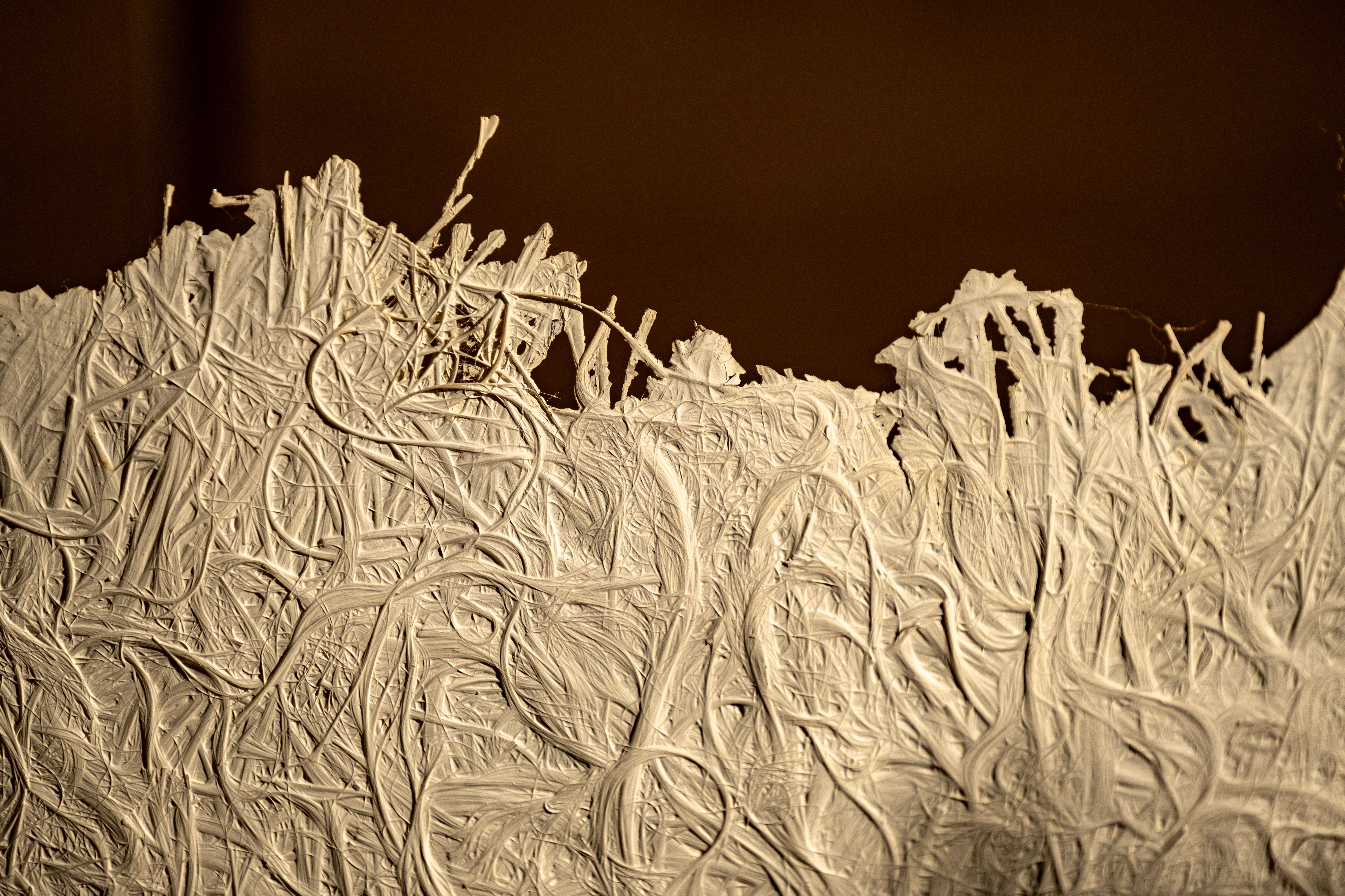 Close-up view of white fibrous texture with intricate patterns against a dark background.