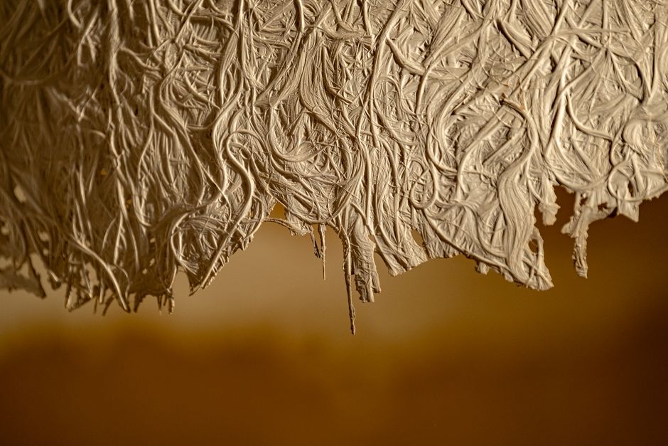 Innovatieve stoel gemaakt van mycelium materiaal. Innovatieve stoel gemaakt van mycelium materiaal.