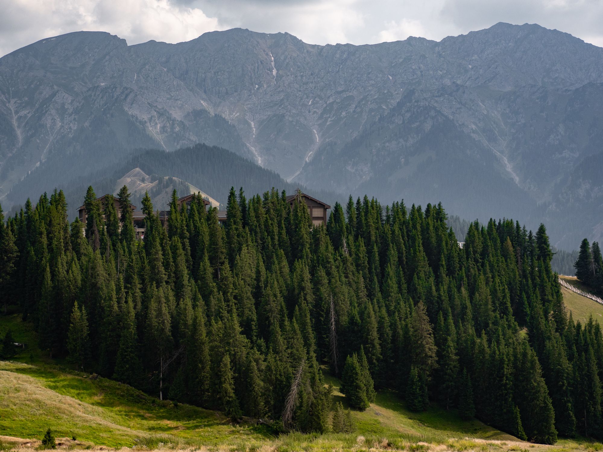 A tranquil mountain lodge nestled within a dense forest grove with stunning mountain views.