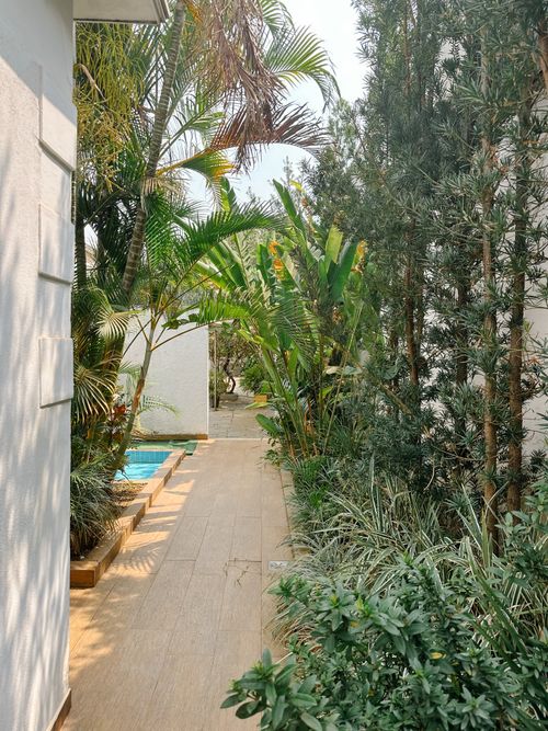 Free Tranquil outdoor garden pathway with lush greenery and a small pool. Stock Photo