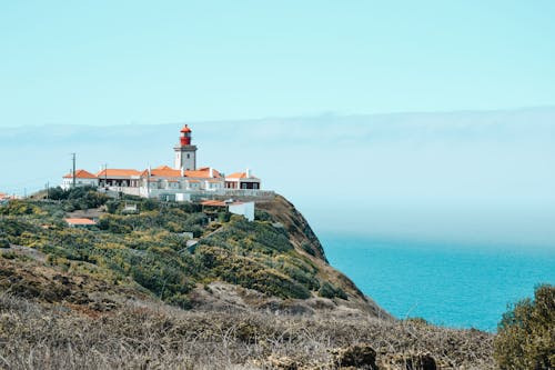 White and Brown Light House