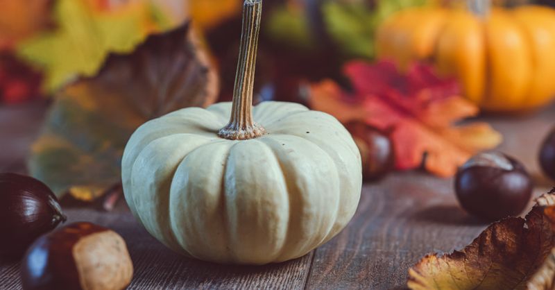 Automne : comment réaliser des bricolages créatifs avec des feuilles naturelles