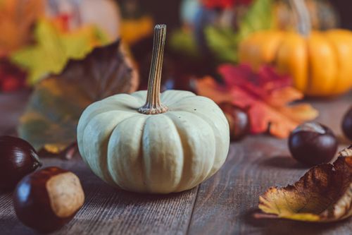 Free Charming autumn composition featuring a white pumpkin with colorful leaves and chestnuts. Stock Photo