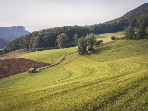 Free Tranquil rural landscape with rolling green hills and rustic cabins under a clear sky. Stock Photo