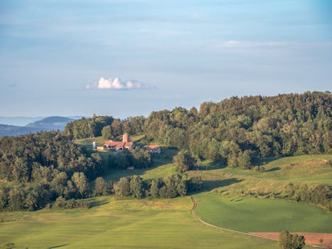 Aerial view of a peaceful countryside landscape with lush green fields and a distant horizon.