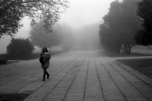 Free Ilford 100009 Stock Photo