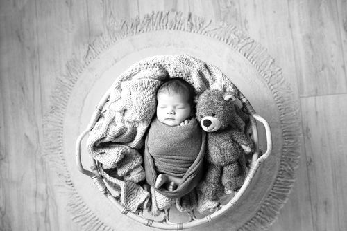 Free Black and white image of a baby swaddled in a basket with a teddy bear, exuding warmth and serenity. Stock Photo